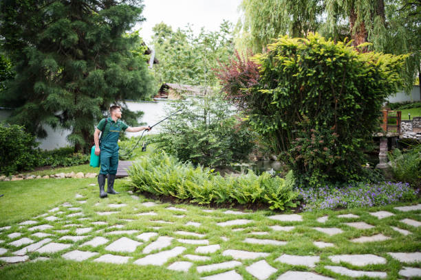 Best Best Pest Control Companies  in North Adams, MA